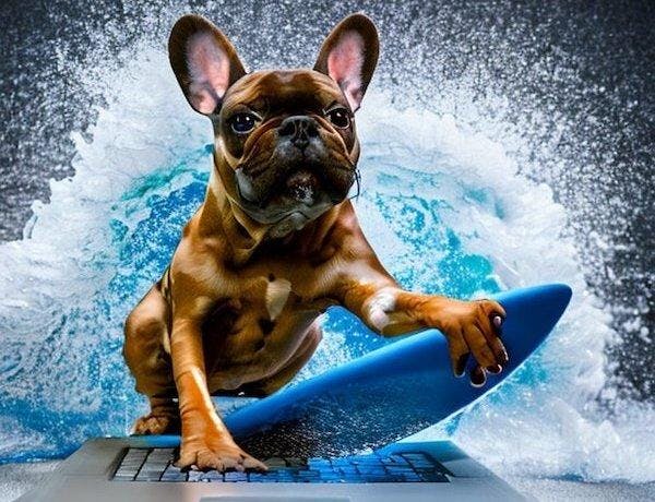A surfing Frenchie using a laptop in an artistic style with professional lighting by Stable Diffusion 2.1